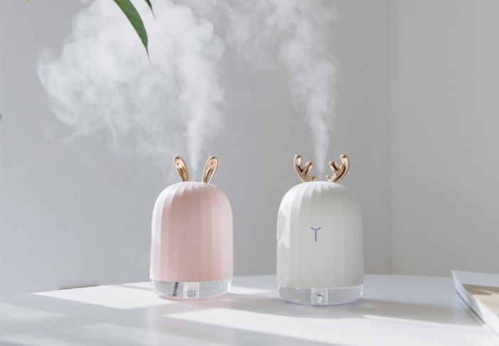 Que choisir entre un humidificateur et un purificateur d'air ?